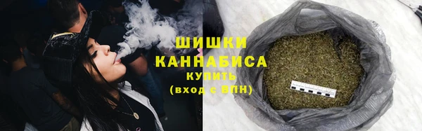 прущая мука Няндома