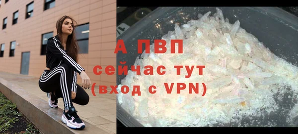 2c-b Белокуриха