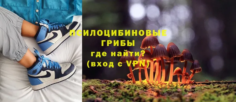 Галлюциногенные грибы Magic Shrooms  нарко площадка формула  Ставрополь 