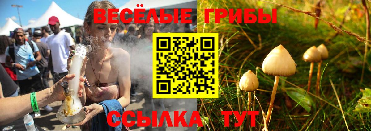 Ставрополь  Галлюциногенные грибы ЛСД  Псилоцибиновые грибы Cubensis  Вход с VPN 