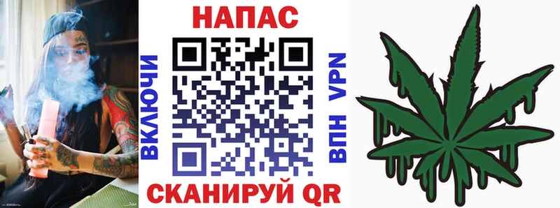 omg зеркало  Ставрополь  Бошки Шишки сатива 
